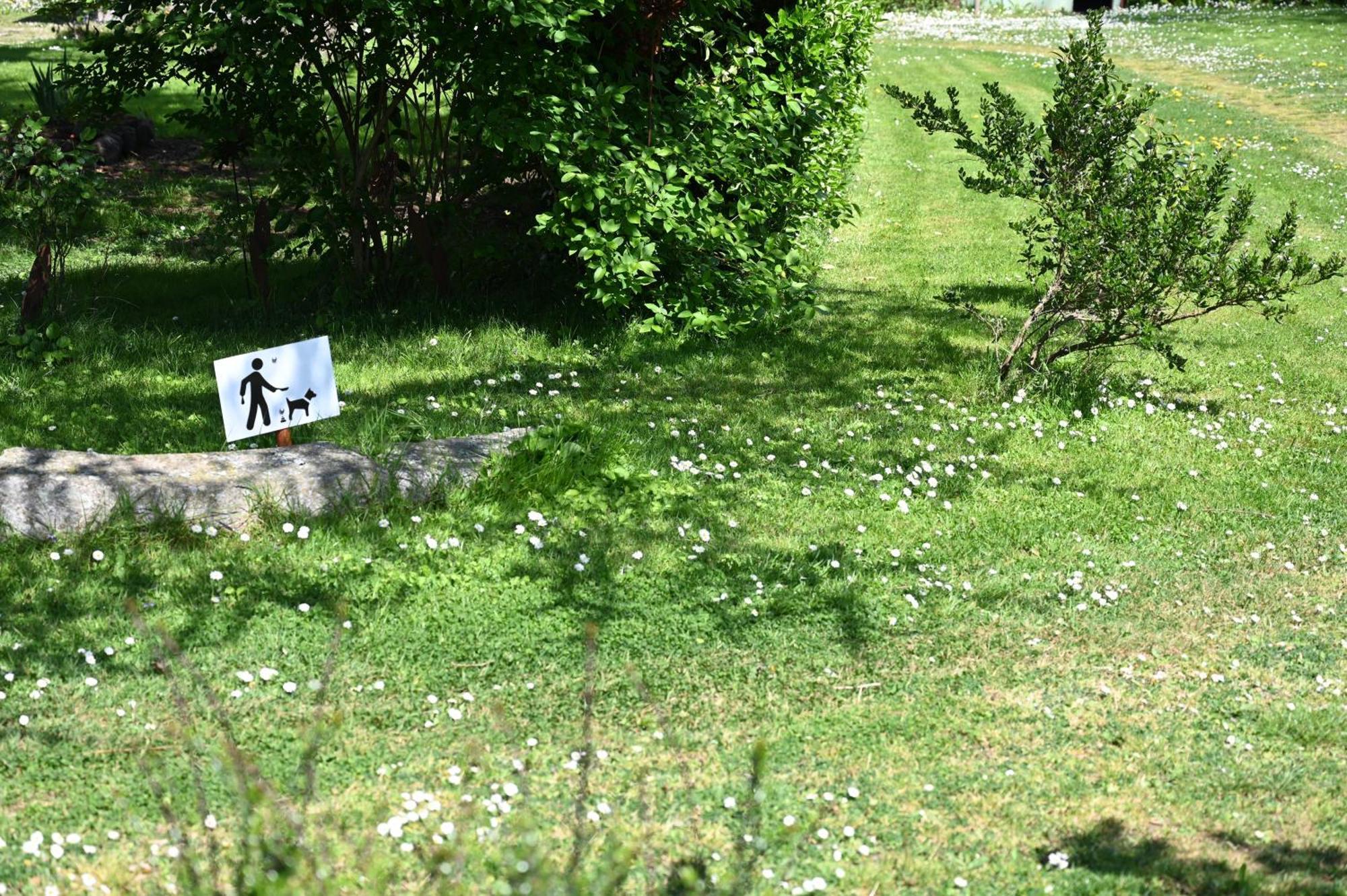 Hotel La Demeure Du Perron Quettehou Zewnętrze zdjęcie