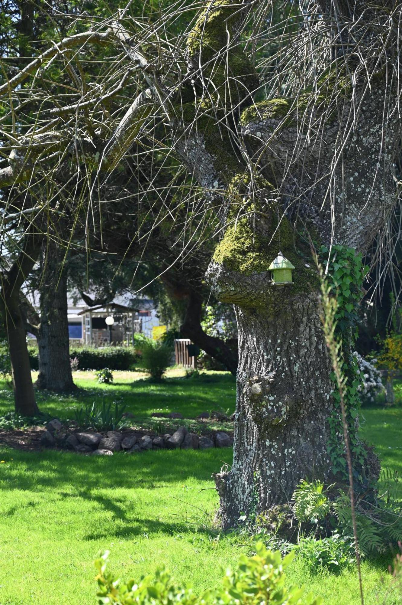 Hotel La Demeure Du Perron Quettehou Zewnętrze zdjęcie