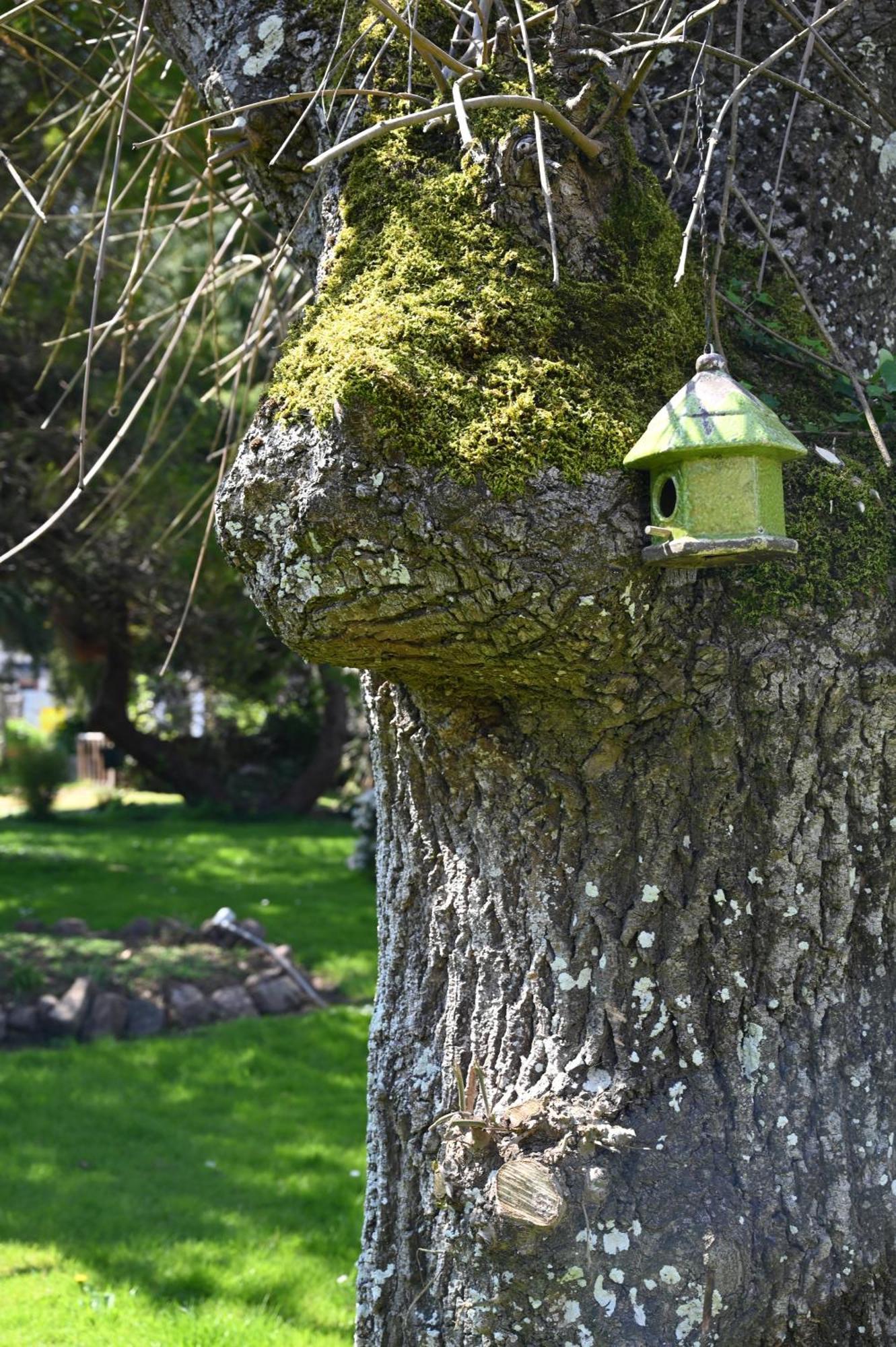 Hotel La Demeure Du Perron Quettehou Zewnętrze zdjęcie